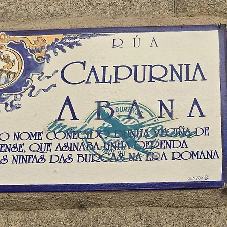 Calpurnia Abana 奥伦塞